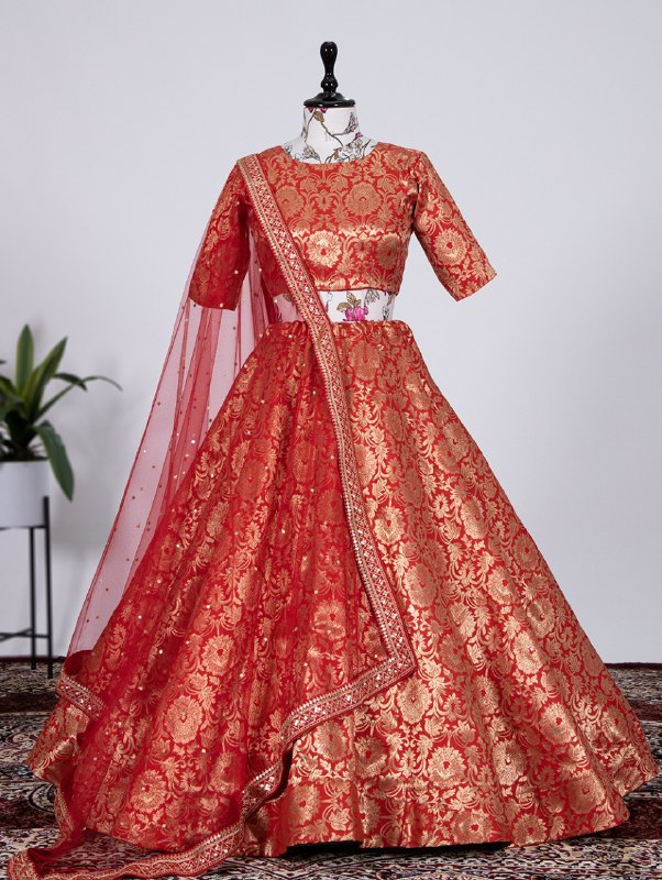 Embroidered Velvet Lehenga in Red | Best lehenga designs, Lehenga, Lehenga  designs